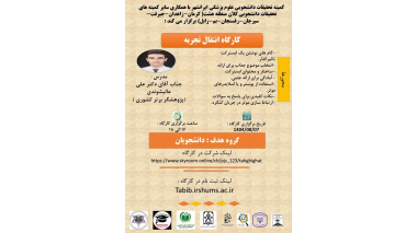 کارگاه انتقال تجربه در سطح کلان منطقه ۸